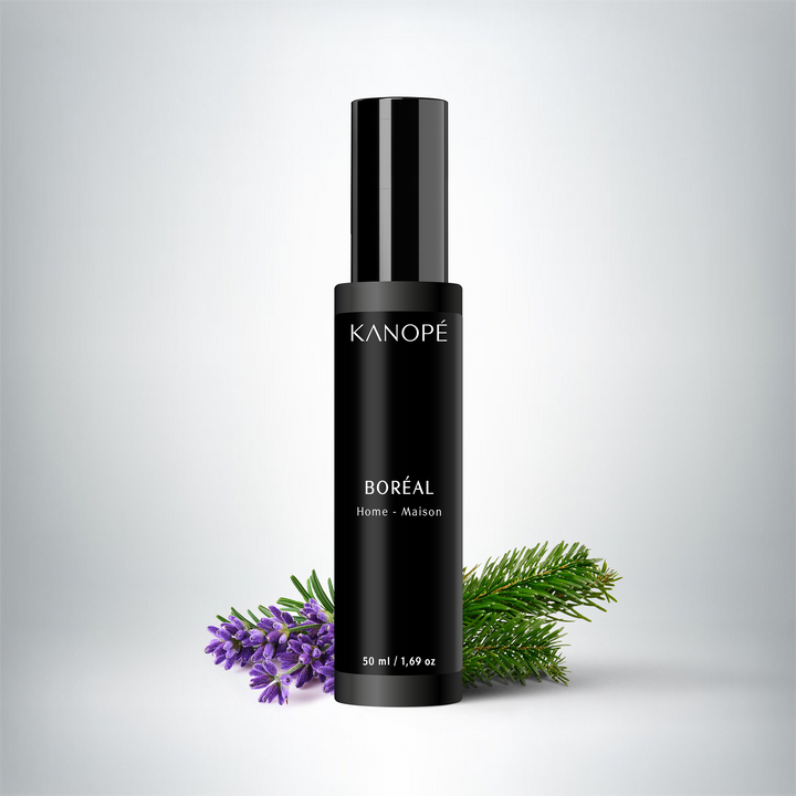 Parfum d'intérieur BORÉAL - Éveil des Bois