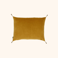 Washed Velvet Cushion