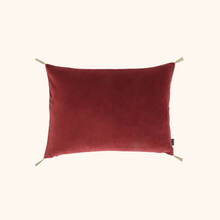 Washed Velvet Cushion