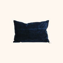 Vice Versa Royal Velvet Cushion