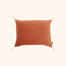Washed Velvet Cushion