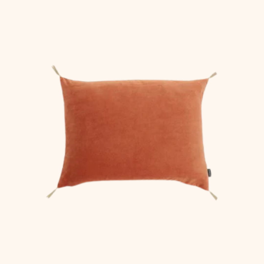 Washed Velvet Cushion