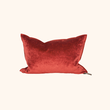 Vice Versa Royal Velvet Cushion