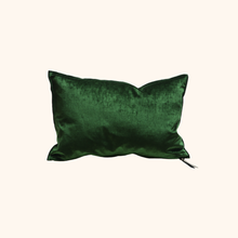 Vice Versa Royal Velvet Cushion