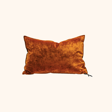 Vice Versa Royal Velvet Cushion
