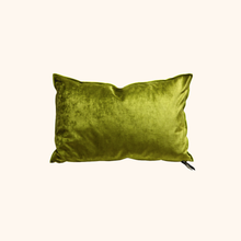 Vice Versa Royal Velvet Cushion