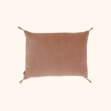 Washed Velvet Cushion
