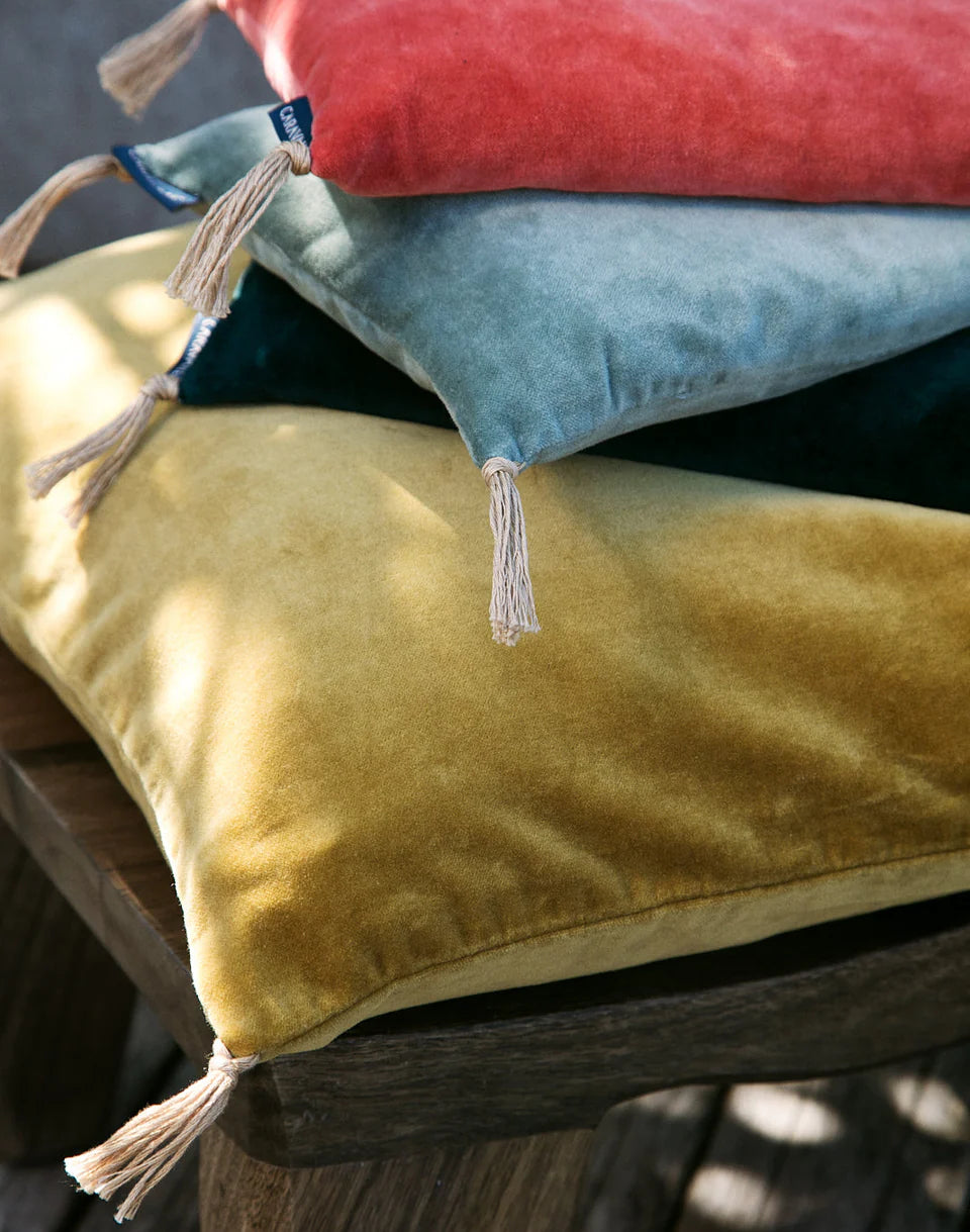 Coussin - Noyaux de Cerises - Velours