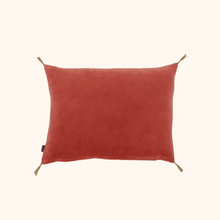 Washed Velvet Cushion