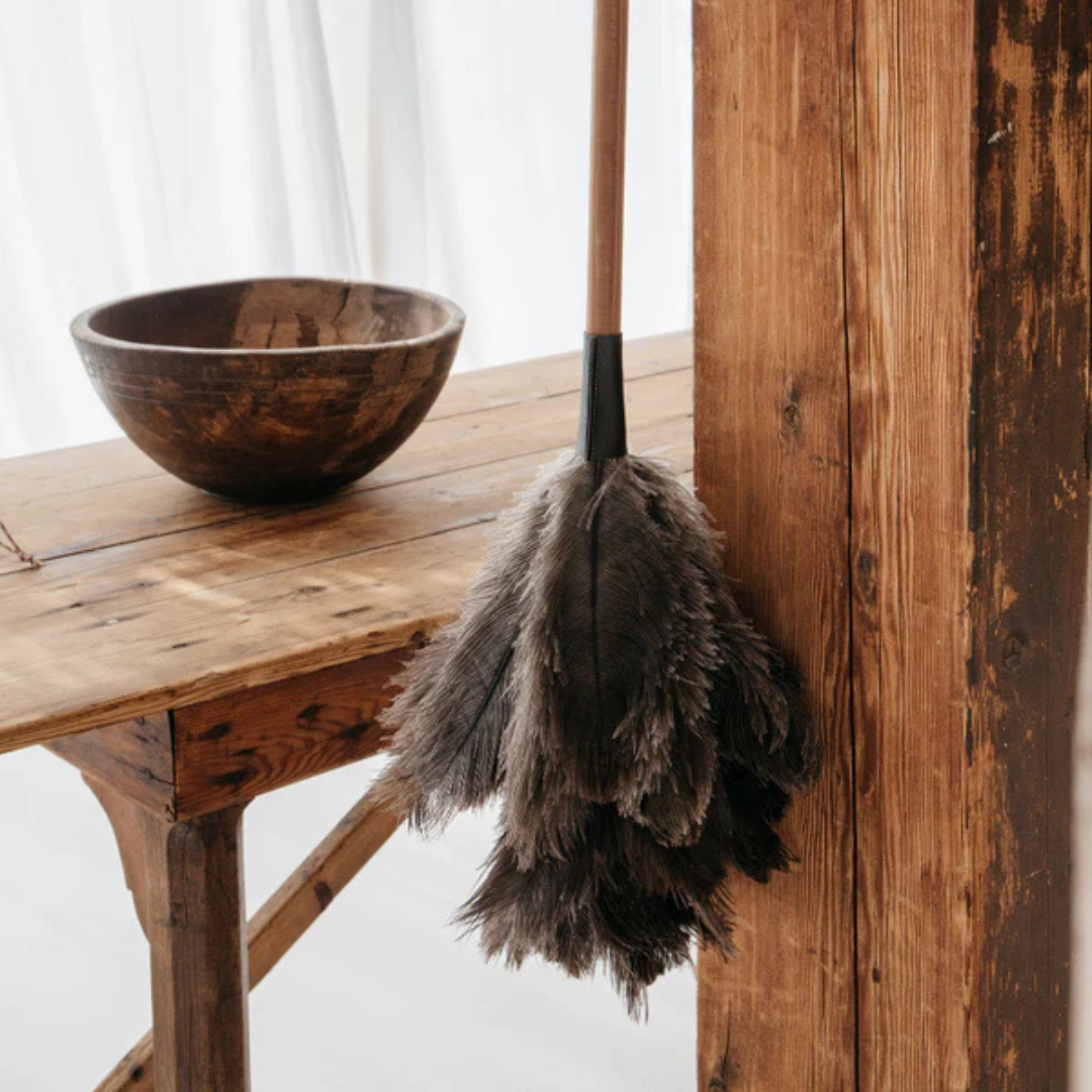 Grand plumeau à poussière - Hêtre