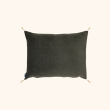 Washed Velvet Cushion