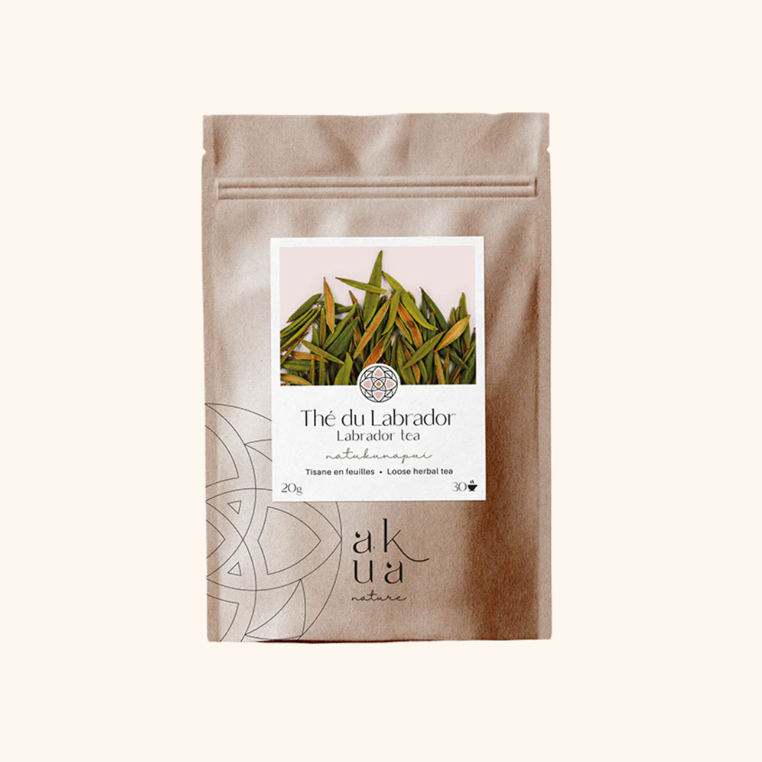 Tisane de Thé du Labrador