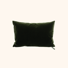 Vice Versa Velvet Palazzo Cushion