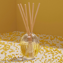 Refill for home fragrance diffuser - 34 boulevard Saint Germain