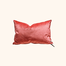 Vice Versa Royal Velvet Cushion
