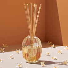 Refill for home fragrance diffuser - 34 boulevard Saint Germain