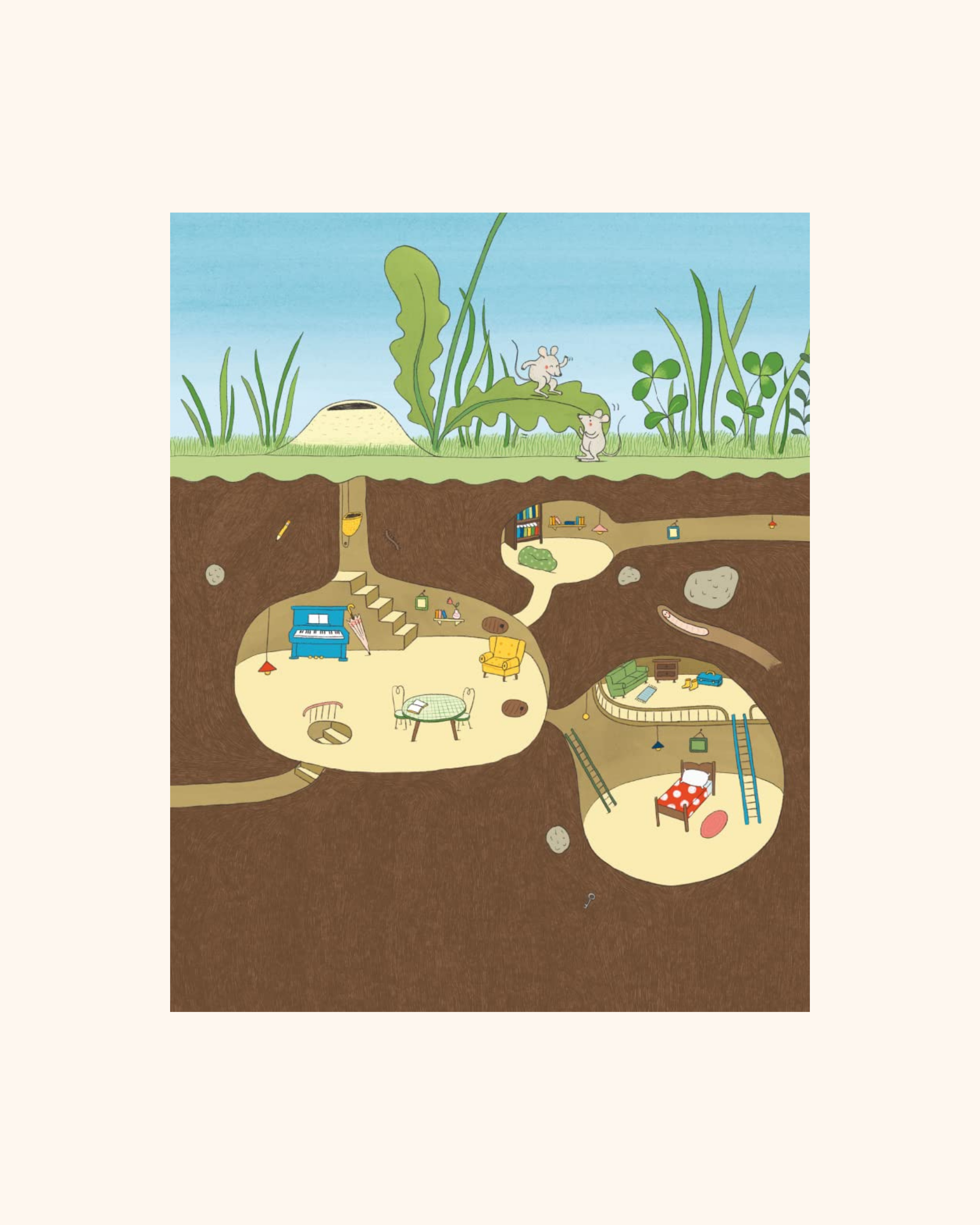 Le jardin de Jaco