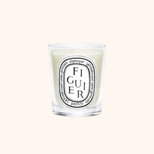Fig Tree Scented Candle