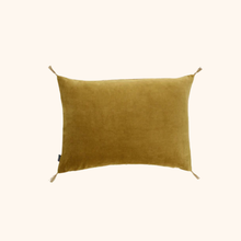 Washed Velvet Cushion
