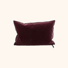 Vice Versa Velvet Palazzo Cushion