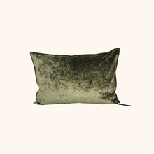 Vice Versa Royal Velvet Cushion