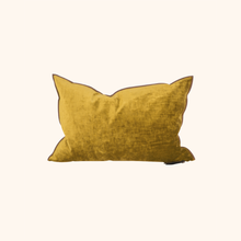 Vice Versa Royal Velvet Cushion