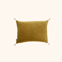 Washed Velvet Cushion