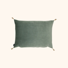 Washed Velvet Cushion