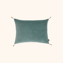 Washed Velvet Cushion