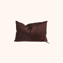 Vice Versa Royal Velvet Cushion
