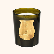 SCENTED CANDLE ERNESTO