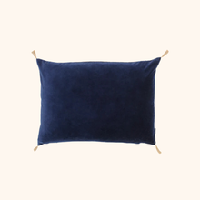 Washed Velvet Cushion