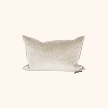 Vice Versa Royal Velvet Cushion