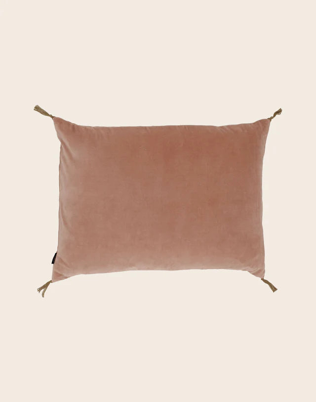 Coussin Velours Lavé