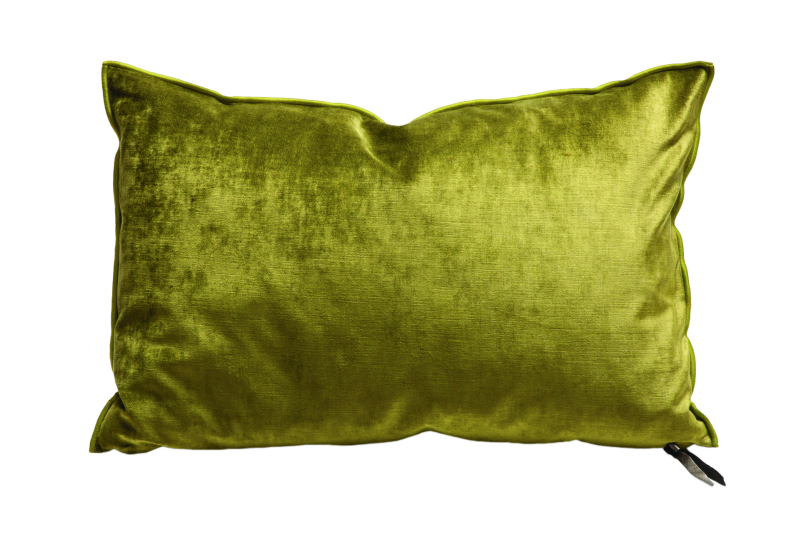 Coussin Vice Versa Velours Royal