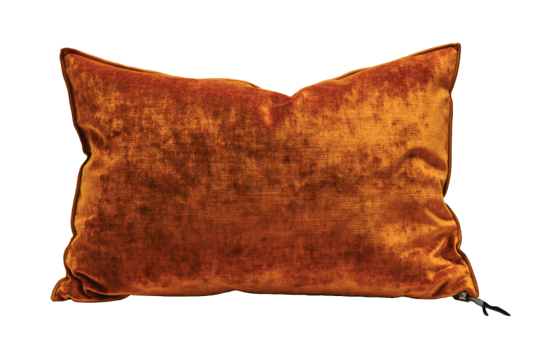 Coussin Vice Versa Velours Royal