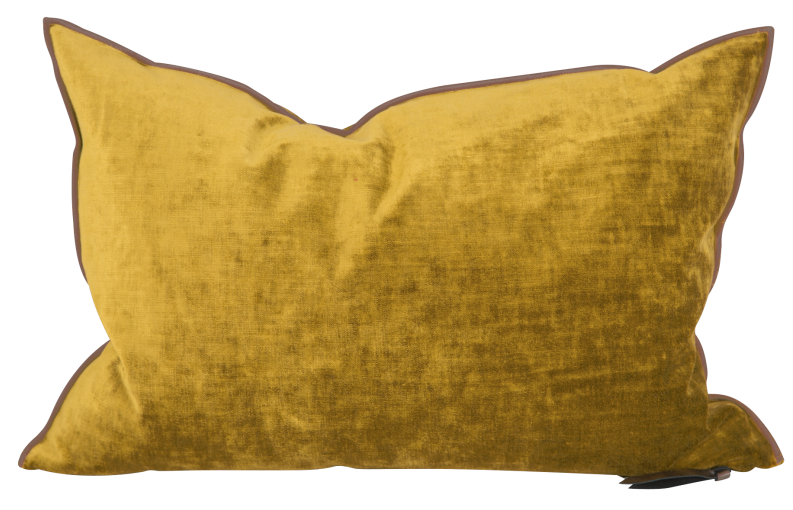 Coussin Vice Versa Velours Royal