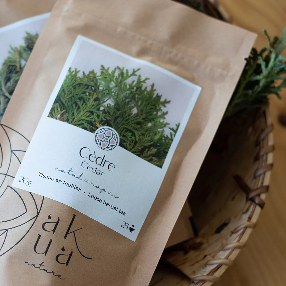 Tisane de cèdre