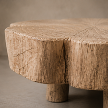 Table basse en manguier blanc - Pièce unique