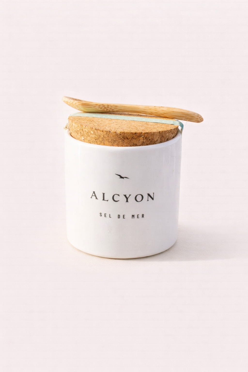 Pot de main de sel de mer en céramique