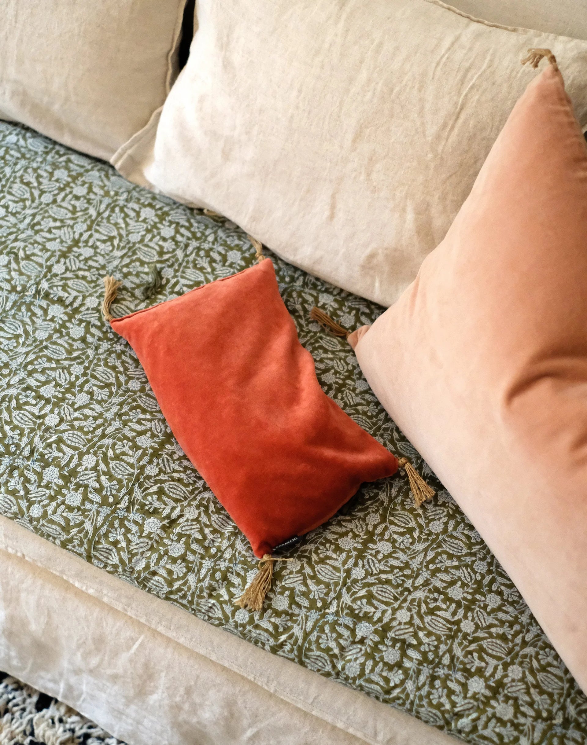 Coussin - Noyaux de Cerises - Velours