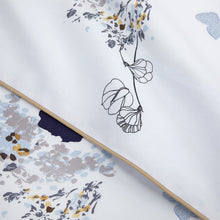 Flat sheet - ECLIPSES