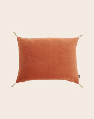 Coussin Velours Lavé