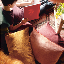 Vice Versa Royal Velvet Cushion