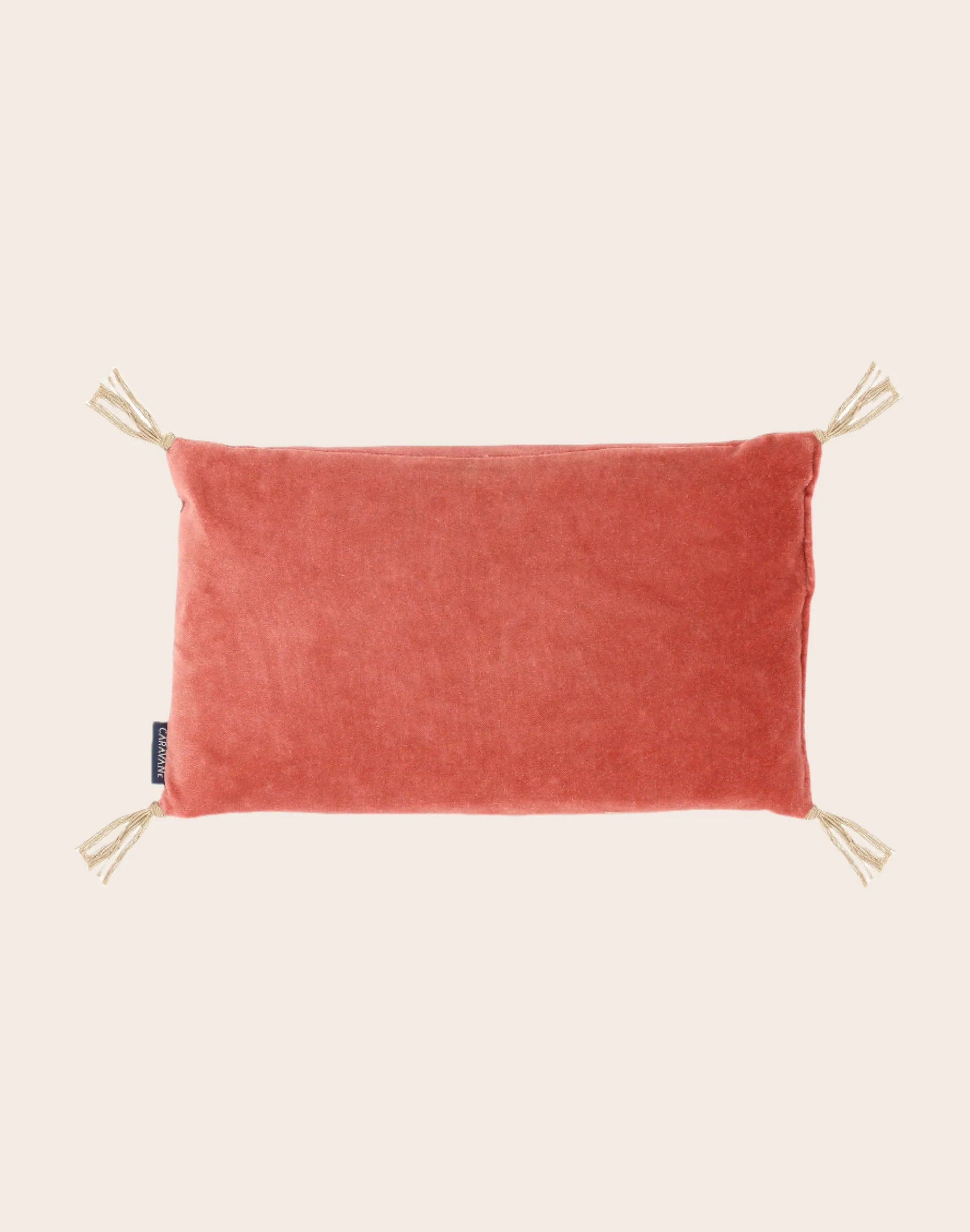 Coussin - Noyaux de Cerises - Velours