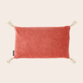 Coussin - Noyaux de Cerises - Velours