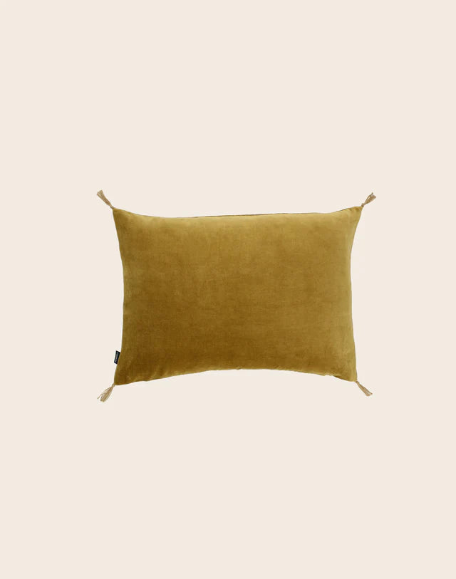 Coussin Velours Lavé