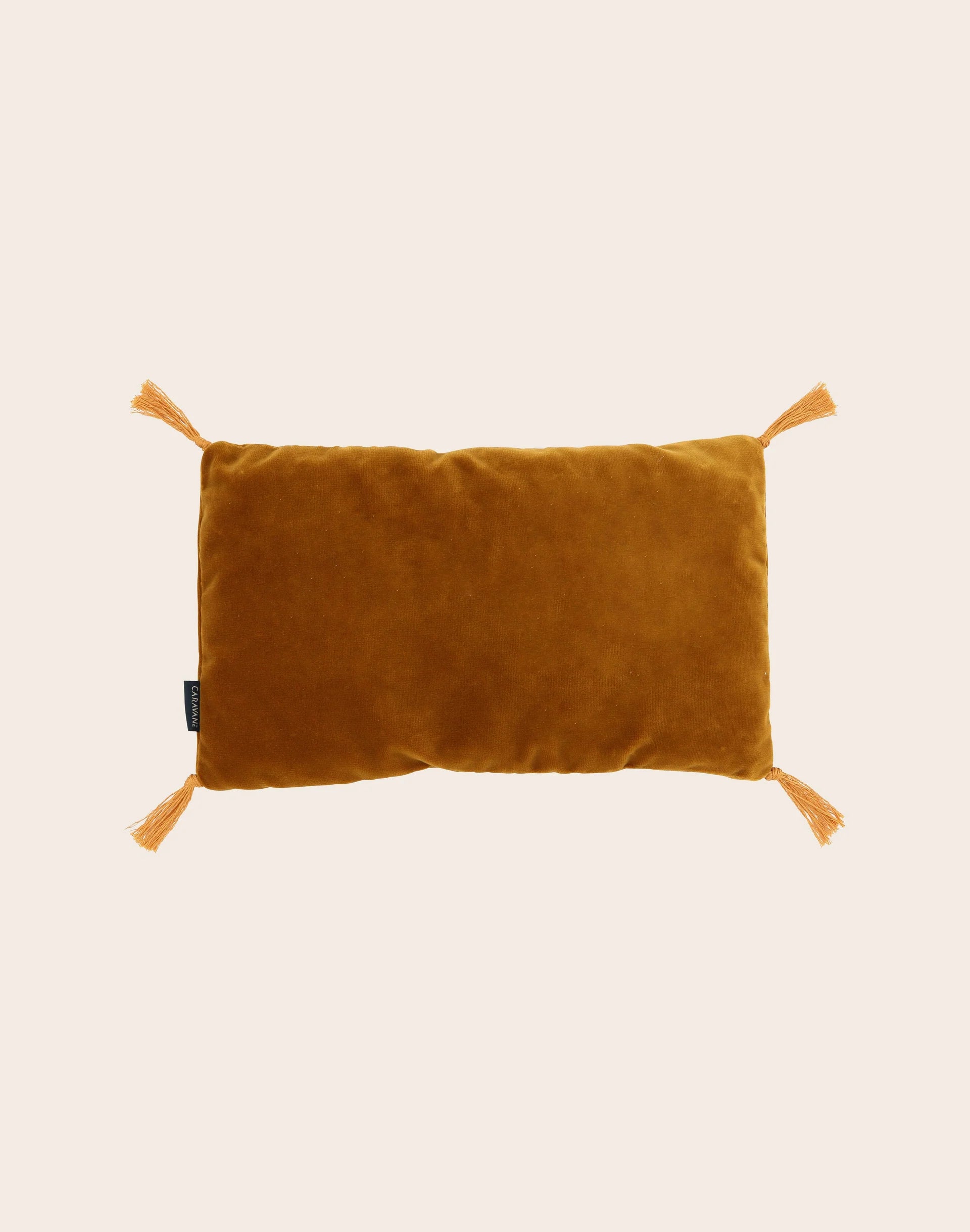 Coussin - Noyaux de Cerises - Velours