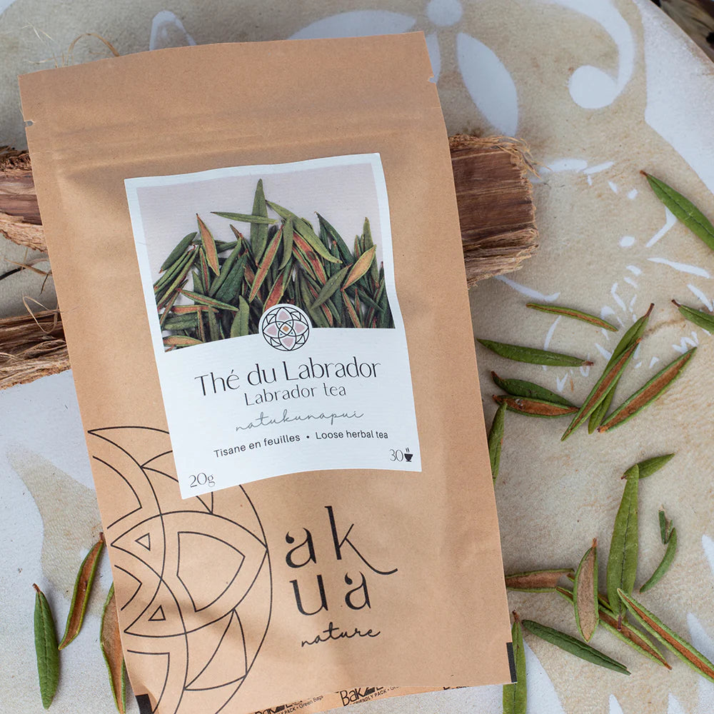 Tisane de Thé du Labrador
