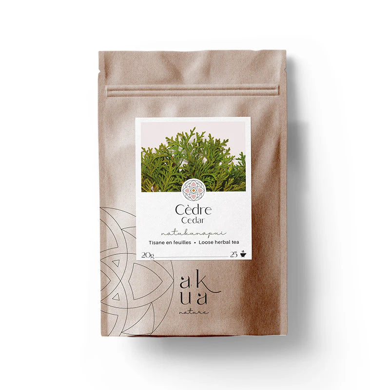 Tisane de cèdre